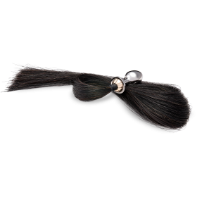 Tailbud longue queue de cheval