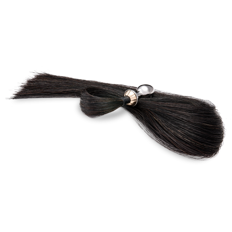 Tailbud longue queue de cheval